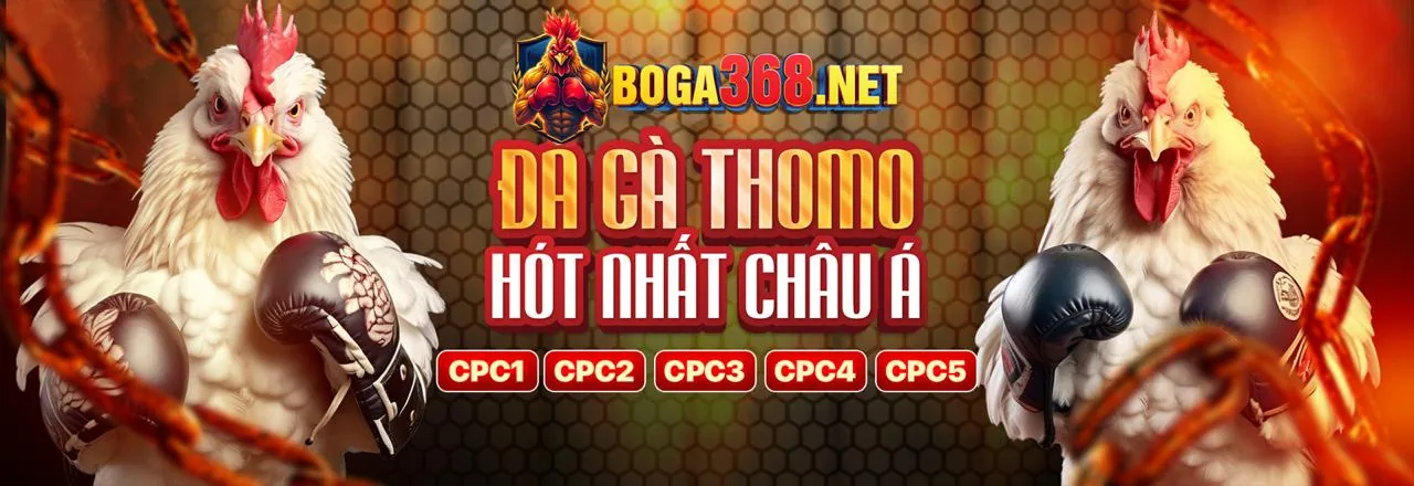 Sàn Đá Gà Trực Tuyến Sôi Động tại ev99