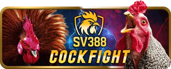 Chơi công bằng ev99